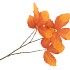 SILK LEAF CHESTNUT ORANGE 79CM NM