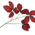 SILK LEAF CHESTNUT DARK RED 79CM NM
