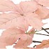 SILK LEAF CHESTNUT CHAMPAGNE 135CM NM