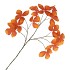 SILK LEAF CHESTNUT ORANGE 135CM NM