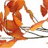 SILK LEAF CHESTNUT ORANGE 135CM NM