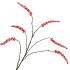 SILK BERRY CLUSTER FIERY RED 112CM NM