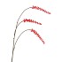 SILK BERRY CLUSTER FIERY RED 94CM NM