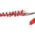 SILK BERRY CLUSTER FIERY RED 94CM NM