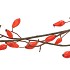 SILK ROSEBOTTLE ORANGE 93CM