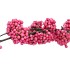 SILK BERRY CALLICARPA PINK 130CM NM