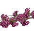 SILK BERRY CALLICARPA PURPLE 130CM NM