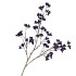 SILK BERRY SPICE BLUE 108CM NM