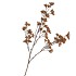 SILK BERRY SPICE DARK BROWN 108CM NM