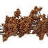 SILK BERRY SPICE DARK BROWN 108CM NM