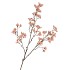SILK BERRY SPICE CHAMPAGNE 108CM NM