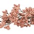 SILK BERRY SPICE CHAMPAGNE 108CM NM