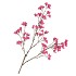 SILK BERRY SPICE PINK 108CM NM