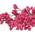 SILK BERRY SPICE PINK 108CM NM