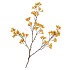 SILK BERRY SPICE YELLOW 108CM NM