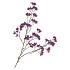 SILK BERRY SPICE DARK PURPLE 108CM NM