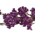 SILK BERRY SPICE DARK PURPLE 108CM NM