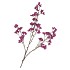 SILK BERRY SPICE PURPLE 108CM NM