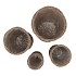 RATTAN KUBOO NATURAL CIL S/4 23X40/27X45//34X50/40X55CM NM