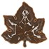 LEAF MAPLE PLATE OLIVE 24X24X4CM NM
