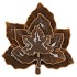 LEAF MAPLE PLATE OLIVE 24X24X4CM NM