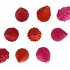 TWINKLE FUCHSIA MIX GLASS TREE MATT ASS 9X35CM NM