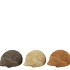 HEDGEHOG WOODS BROWN POLYSTONE ASS 9X6X4CM NM
