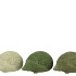 HEDGEHOG GREEN MIX POLYSTONE ASS 15X10X7CM NM