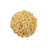 SPARKLE BERRY SAND TREE 11X30CM NM