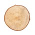 NATURE BIRCH SLICES ROUND D23-26CM X 3 CM