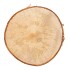 NATURE BIRCH SLICES ROUND D27-31CM X 3 CM
