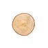 NATURE BIRCH SLICES ROUND D10-14CM X 2 CM