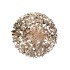 SPARKLE SEQUINS CHAMPAGNE TREE 17X50CM NM