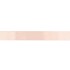 RIBBON SATIN 54 SALOM 100MX40MM P/1 NM
