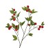 SILK APPLE PLUM CLAUDE RED 135CM NM