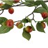 SILK APPLE PLUM CLAUDE RED/GREEN 135CM NM