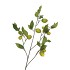SILK LEMON BRANCH YELLOW/GREEN 135CM NM
