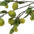 SILK LEMON BRANCH YELLOW/GREEN 135CM NM