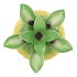 PINEAPPLE TROPICAL YELLOW VASE 23X23X33CM