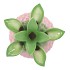 PINEAPPLE TROPICAL PINK VASE 23X23X33CM