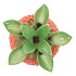 PINEAPPLE TROPICAL ORANGE VASE 23X23X33CM