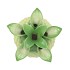 PINEAPPLE TROPICAL LIME VASE 18X18X28CM