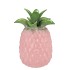 PINEAPPLE TROPICAL PINK VASE 18X18X28CM NM