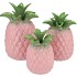 PINEAPPLE TROPICAL PINK VASE 18X18X28CM NM