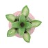 PINEAPPLE TROPICAL PINK VASE 18X18X28CM