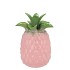 PINEAPPLE TROPICAL PINK VASE 16X16X22CM