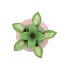 PINEAPPLE TROPICAL PINK VASE 16X16X22CM