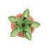 PINEAPPLE TROPICAL ORANGE VASE 16X16X22CM NM