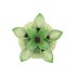 PINEAPPLE TROPICAL LIME VASE 14X14X18CM
