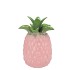 PINEAPPLE TROPICAL PINK VASE 14X14X18CM NM